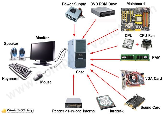 Introduction to Computer Hardware: The Brains Behind the Machine