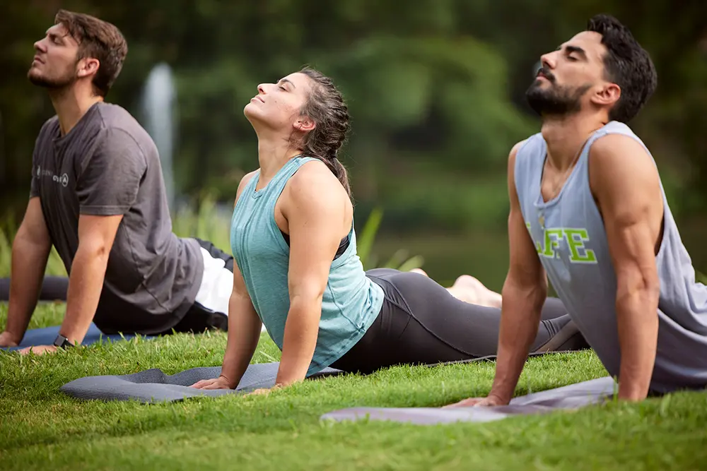 Wellness Lifestyle