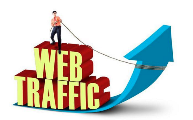 organic traffic of a new website